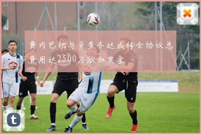 费内巴切与贡多齐达成转会协议总费用达2500万欧加奖金